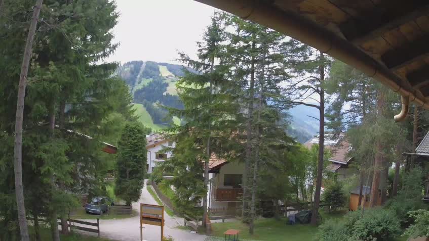 Live Cam