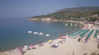 Elba - Cavoli