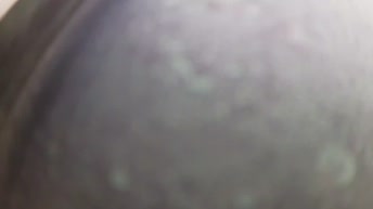 施塔恩贝格