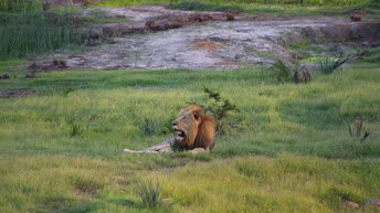 Parque de elefantes de Tembe