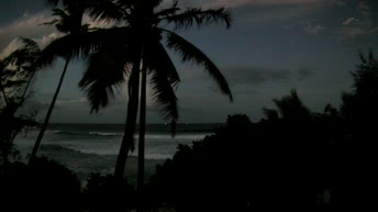 Plantations Beach - 斯里兰卡
