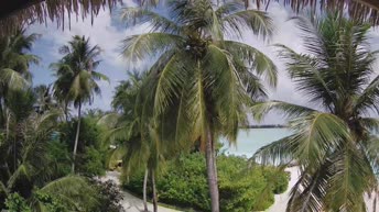 Akasdhoo - Malediwy