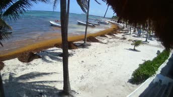 Webcam Quintana Roo - Akumal Bay