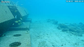 Webcam Subacquea - Pompano Beach
