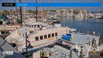 Key West - Bight Marina