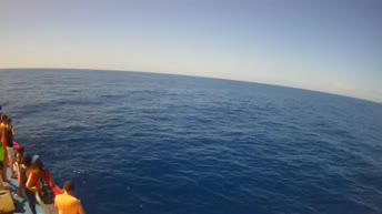 Catamaran Royal Delfin - Tenerife