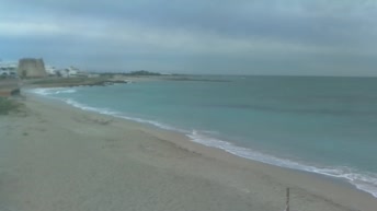Torre Mozza - Ugento