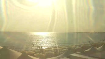Gallipoli